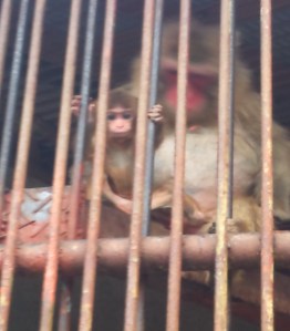 Something's wrong with your face there, pal!